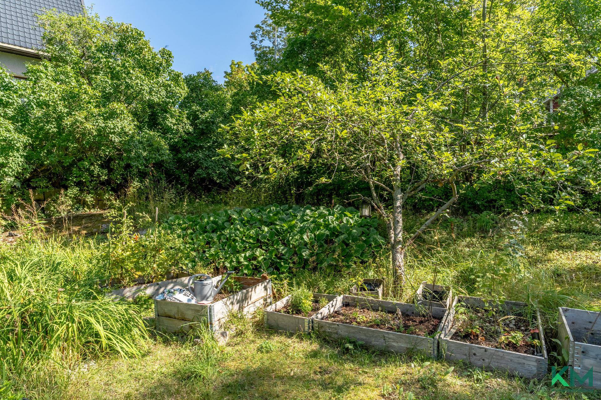 Vaakalinnuntie 11, Käpylä, Helsinki