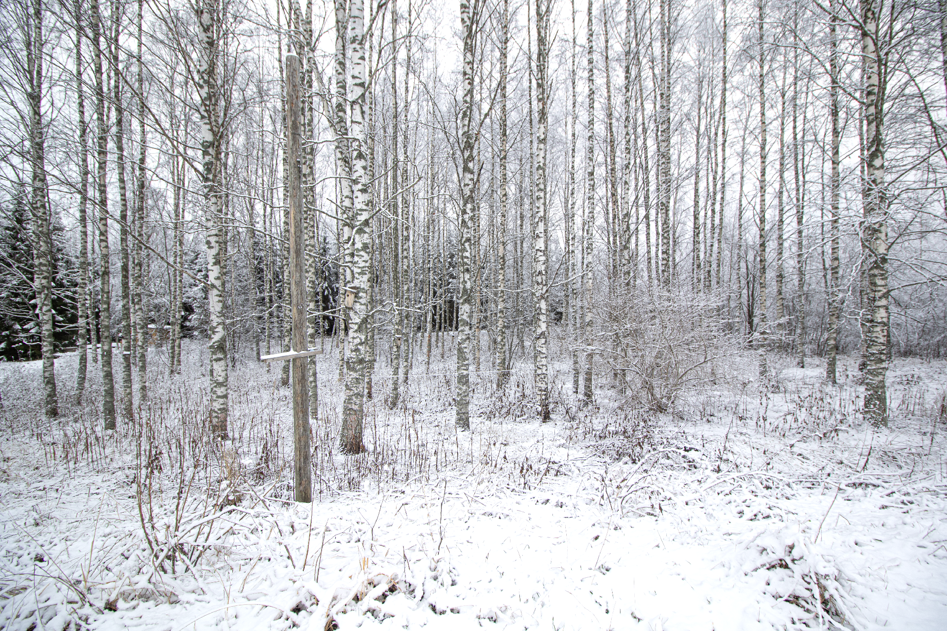 Mustikkapurontie 123, Nilsiä, Kuopio