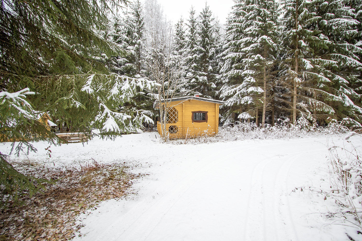 Mustikkapurontie 123, Nilsiä, Kuopio