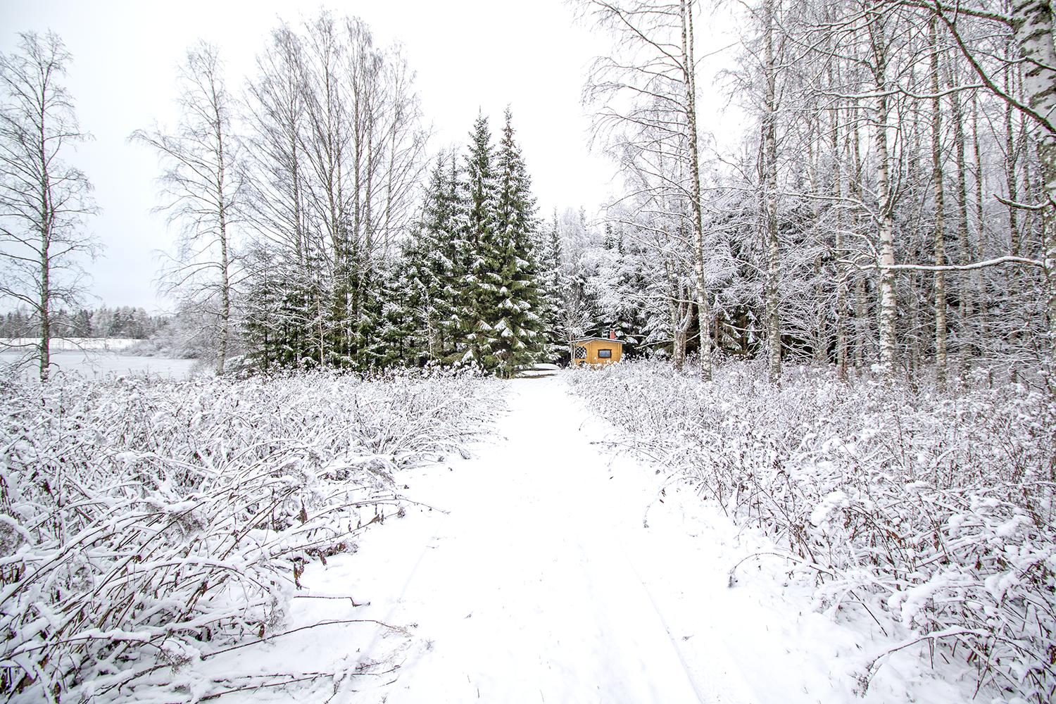 Mustikkapurontie 123, Nilsiä, Kuopio