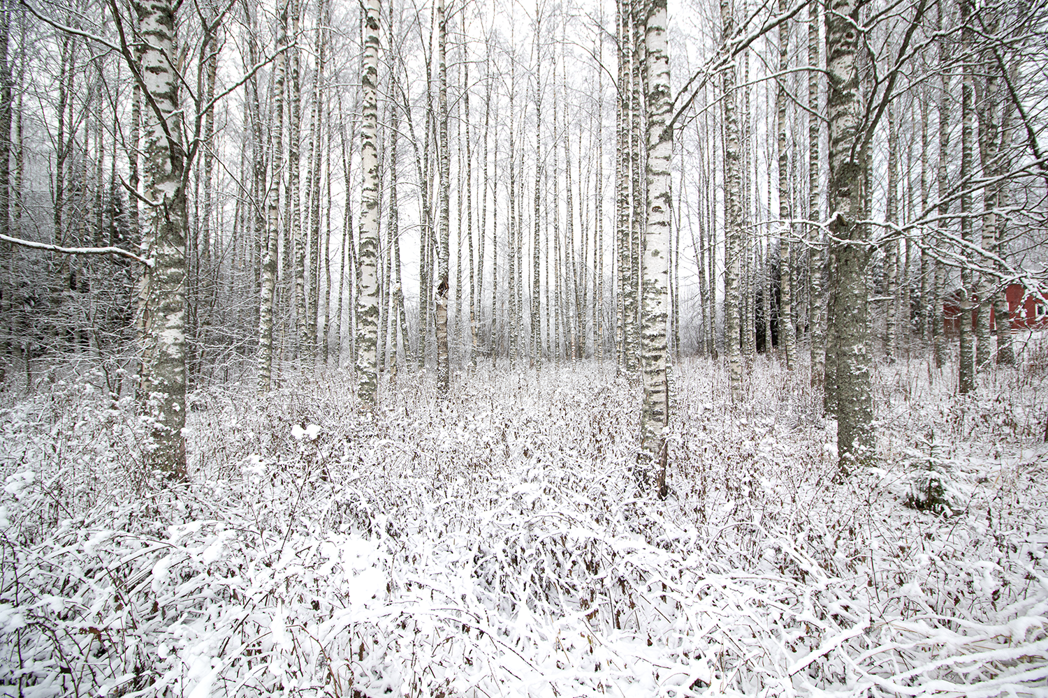 Mustikkapurontie 123, Nilsiä, Kuopio