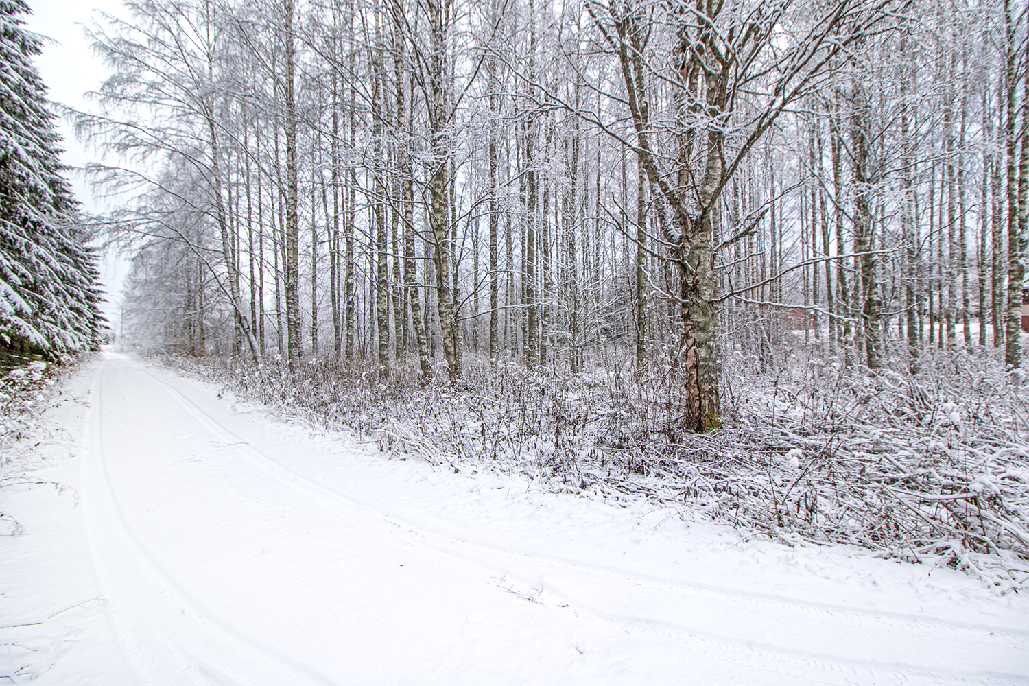 Mustikkapurontie 123, Nilsiä, Kuopio