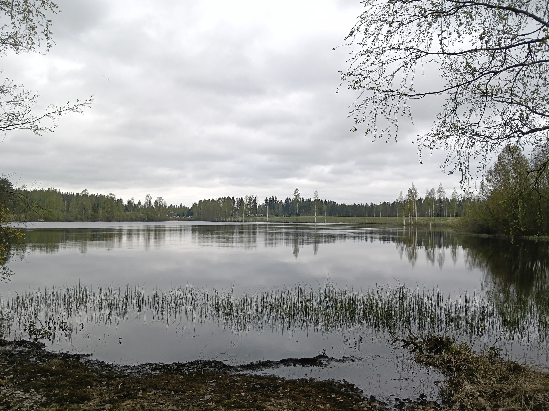 Mustikkapurontie 123, Nilsiä, Kuopio