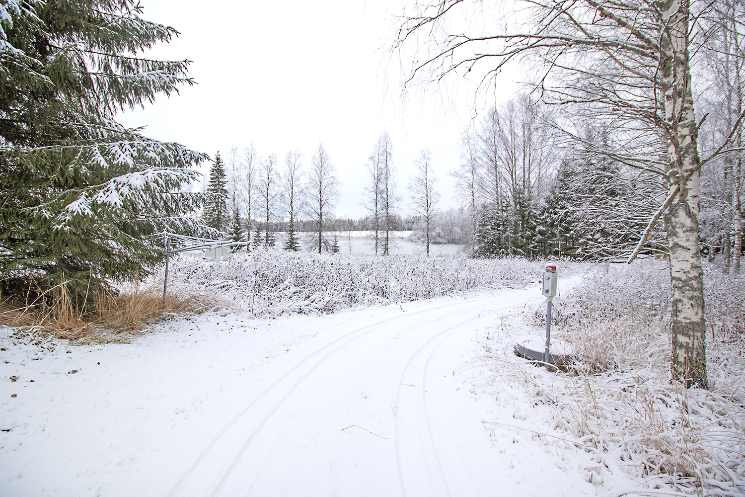 Mustikkapurontie 123, Nilsiä, Kuopio