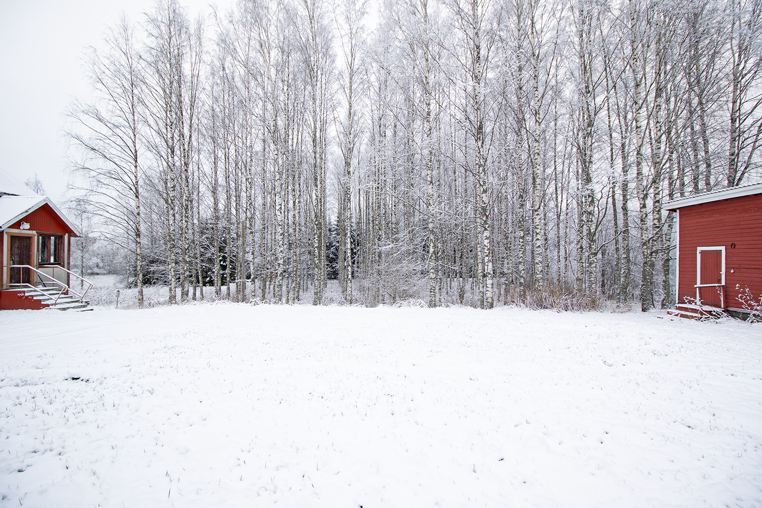 Mustikkapurontie 123, Nilsiä, Kuopio