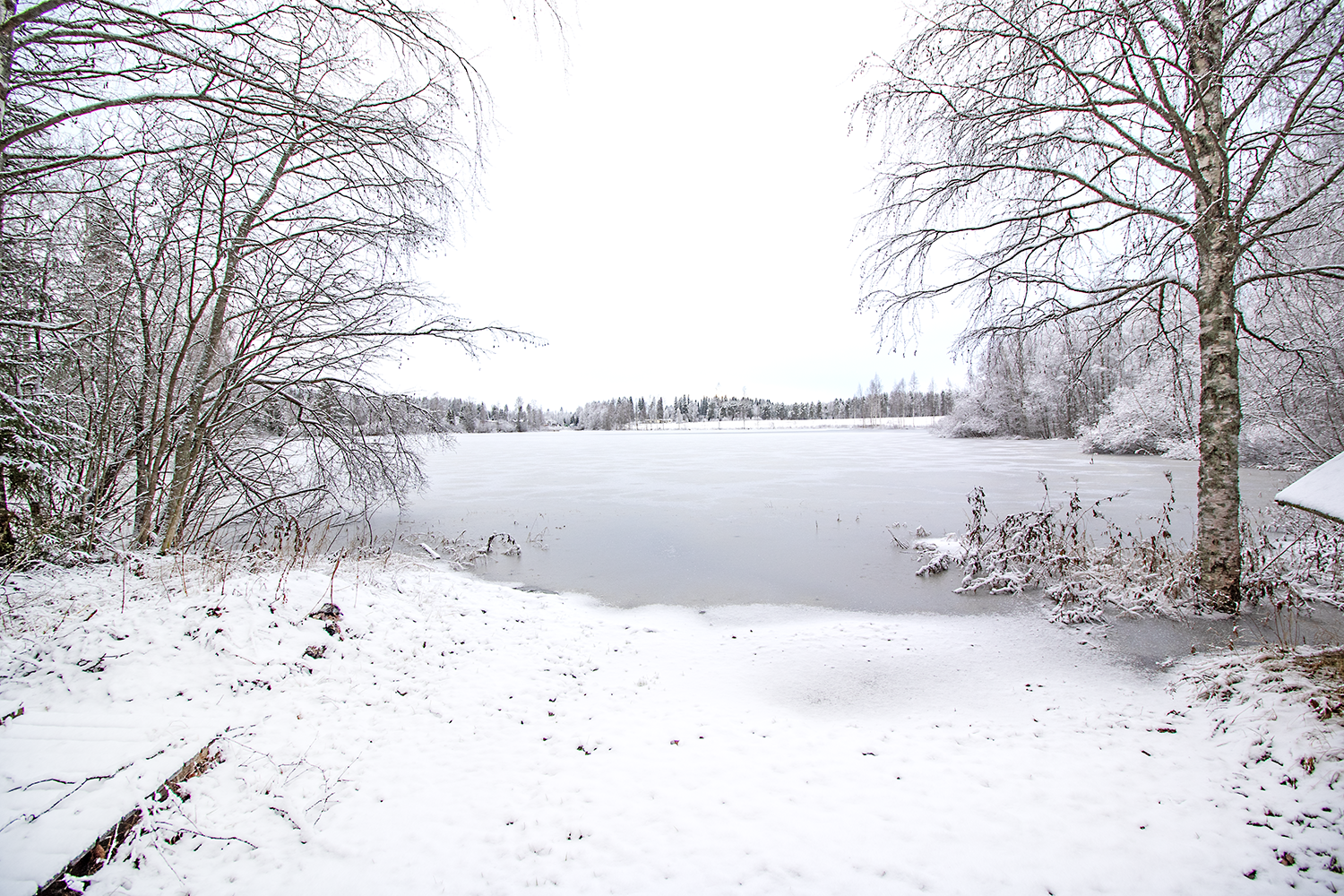 Mustikkapurontie 123, Nilsiä, Kuopio