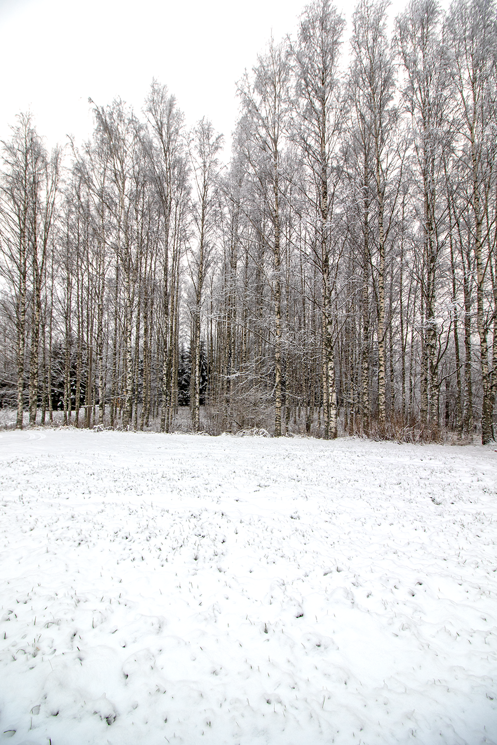 Mustikkapurontie 123, Nilsiä, Kuopio