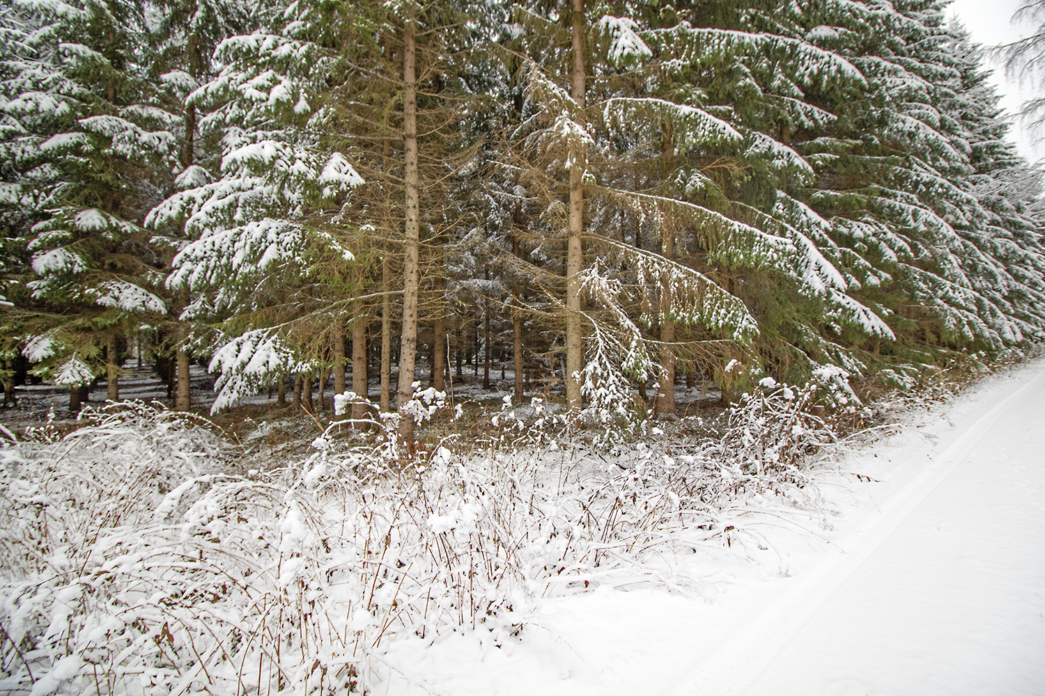 Mustikkapurontie 123, Nilsiä, Kuopio