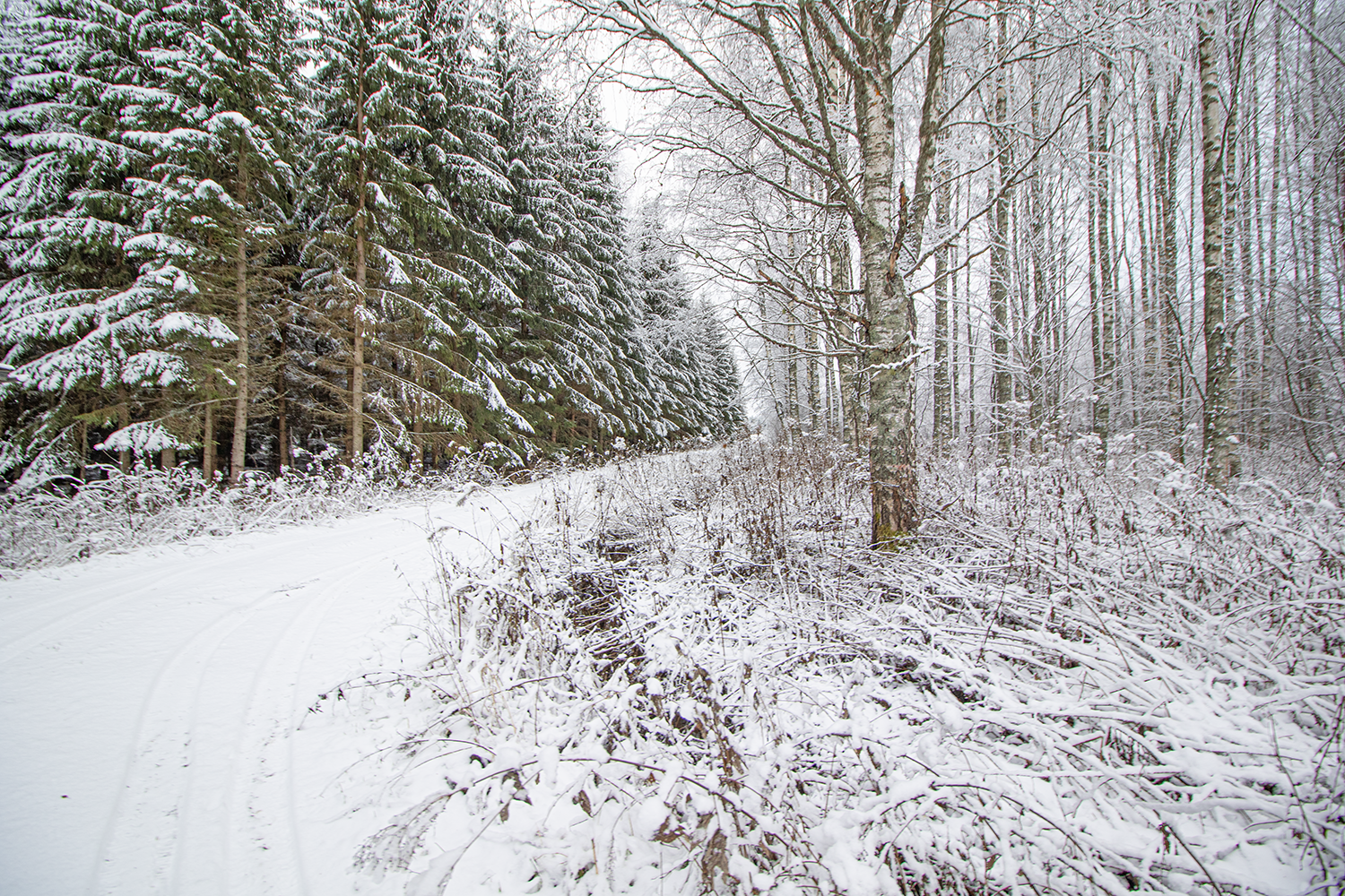 Mustikkapurontie 123, Nilsiä, Kuopio