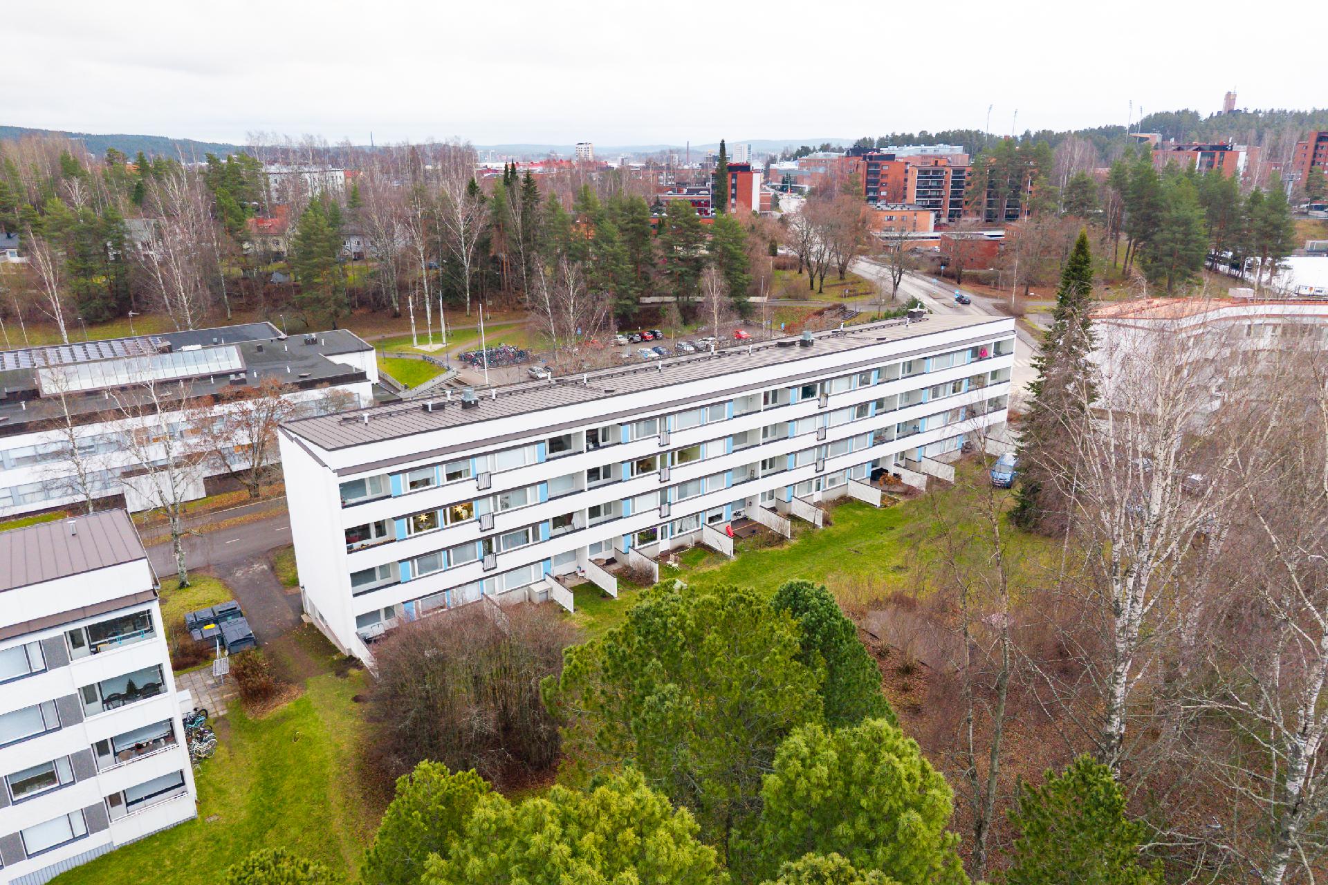 Viitaniementie 17, Viitaniemi, Jyväskylä