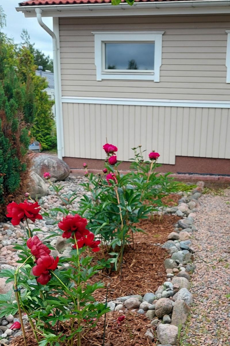 kundens egna sommarbilder