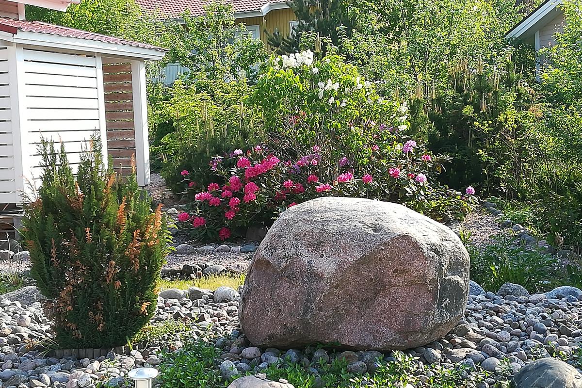 kundens egna sommarbilder