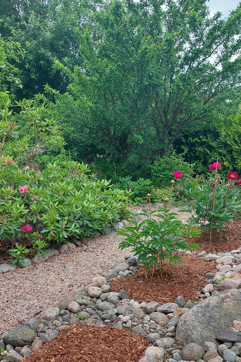 kundens egna sommarbilder