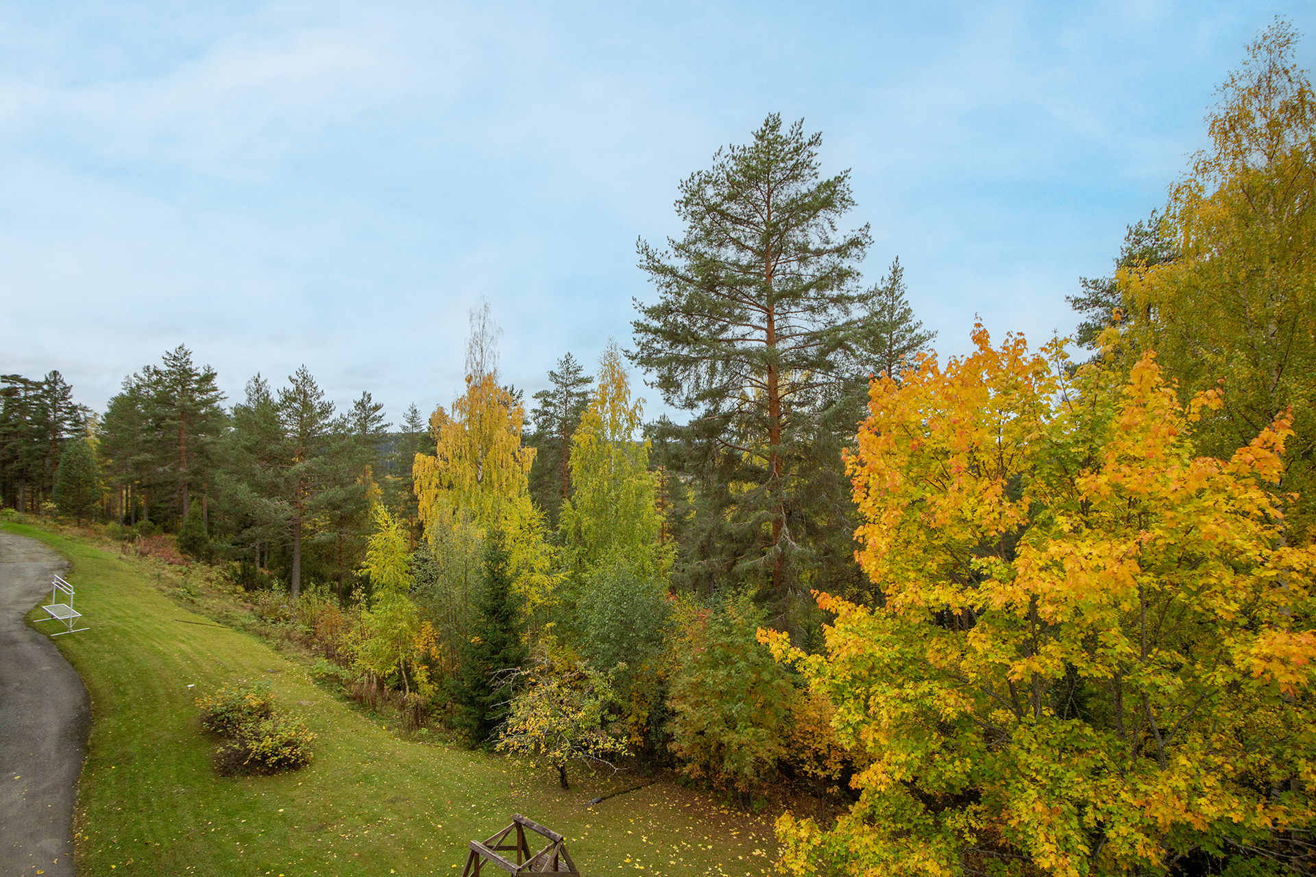 metsäiset näkymät parvekkeelta