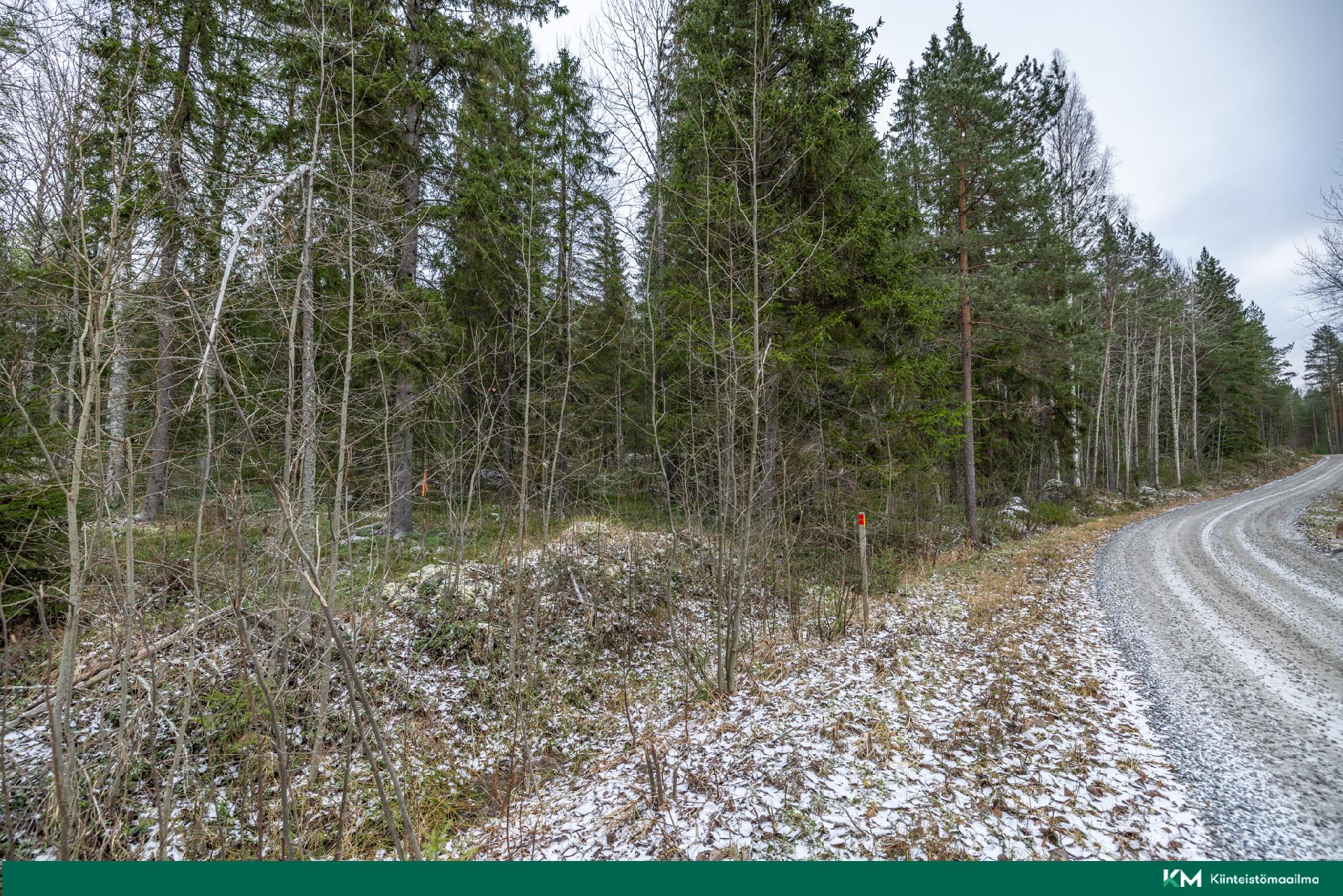 Halmeniementie, Viljakkalansaari - rakennustontti/metsätila, Mikkeli