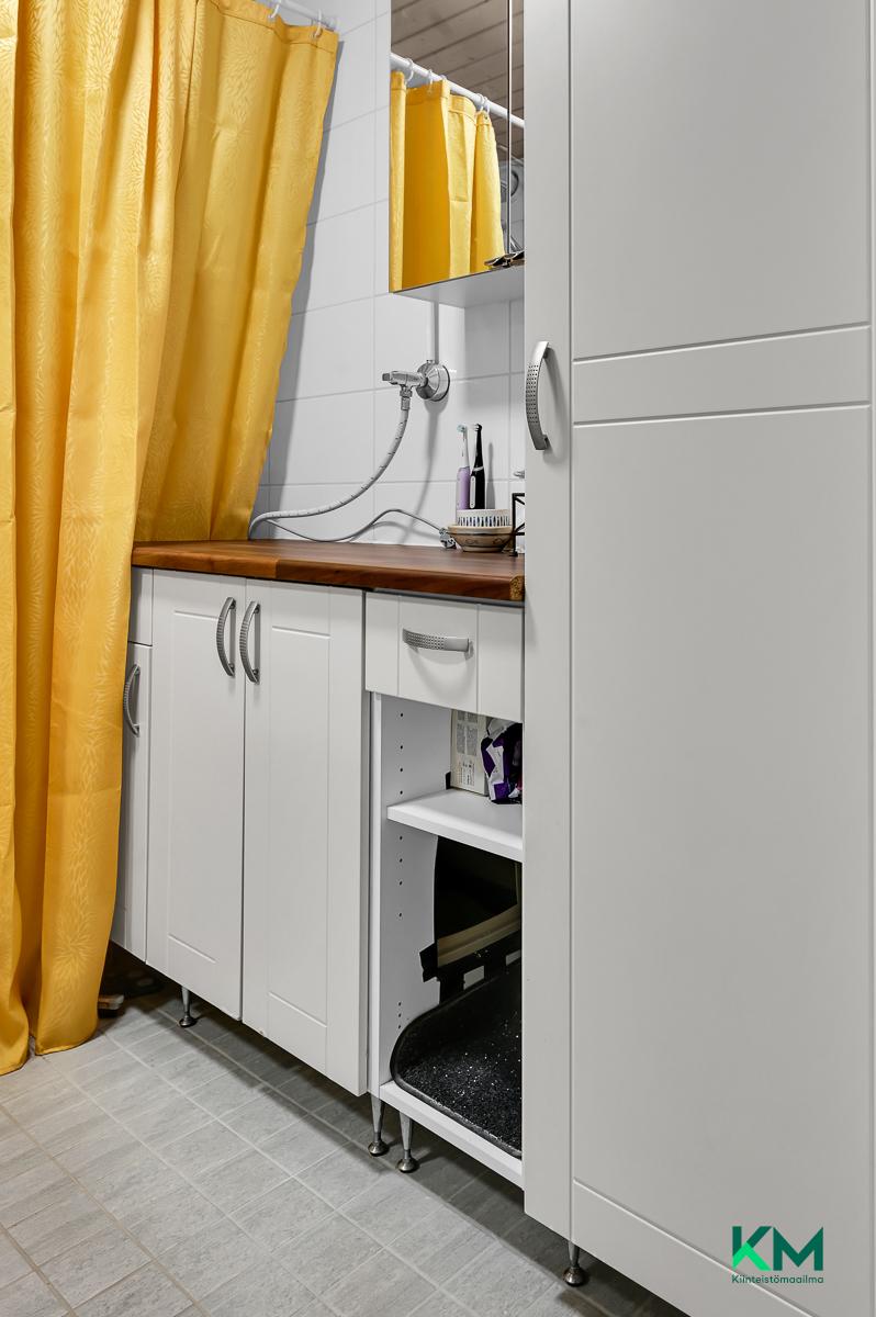 Sköldargårdintie 3, Tammisaari, Raasepori