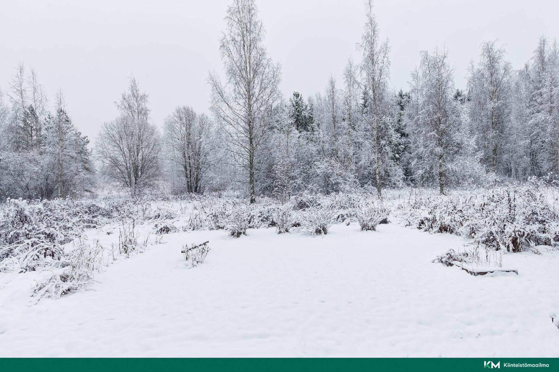 Pirttikatu 11, Pappila, Tampere