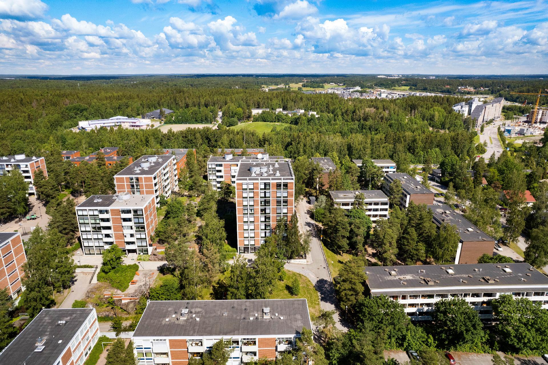 Kesäinen maisema - ympäristö on vehreää!