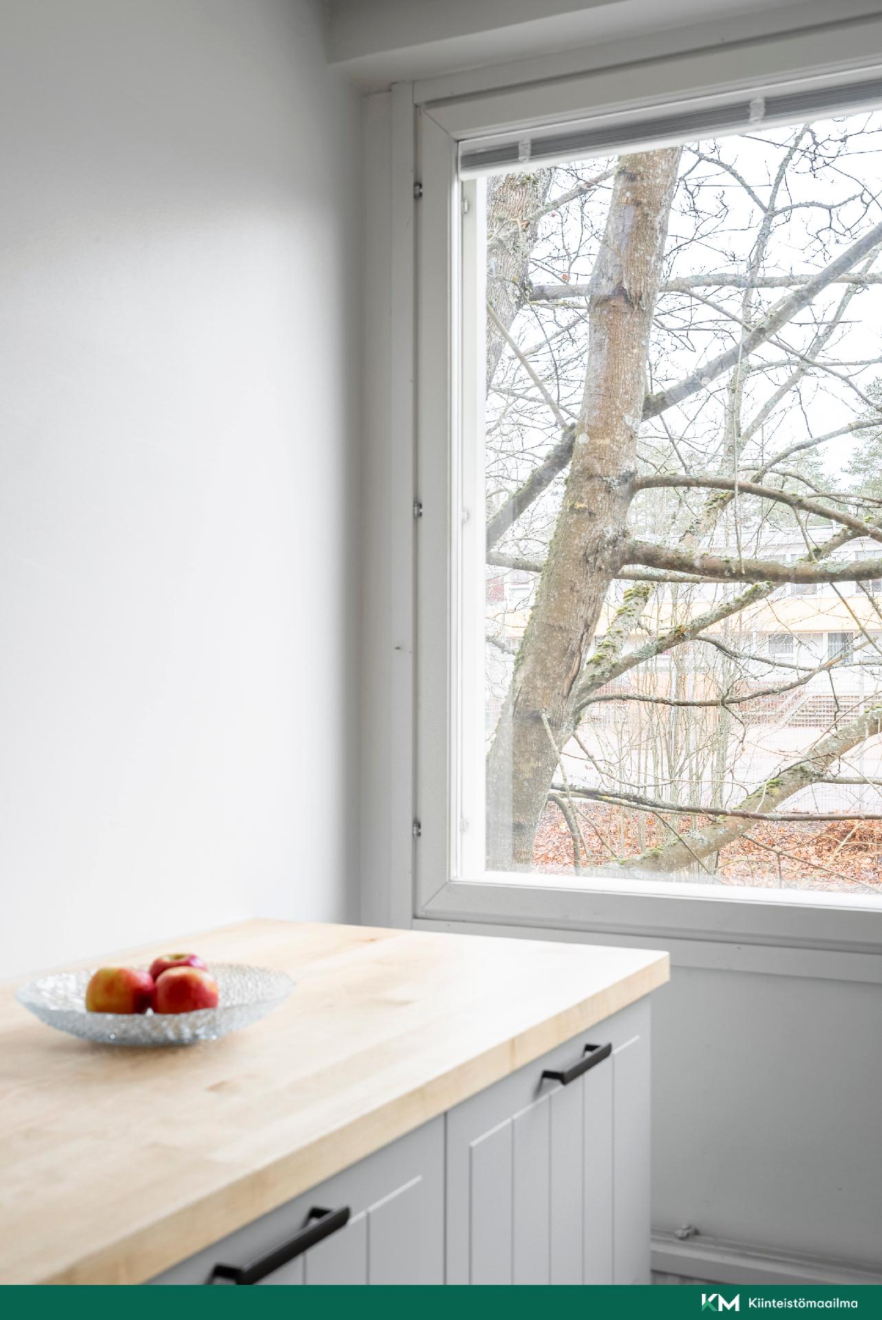 Kievarinraitti 4, Viherlaakso, Espoo