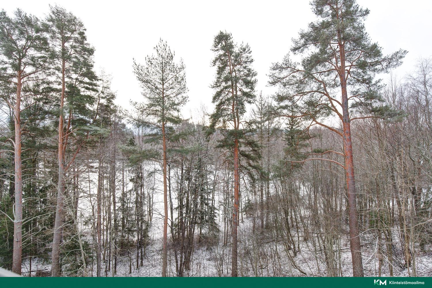 Isolammenkatu 13, Kaukajärvi, Tampere