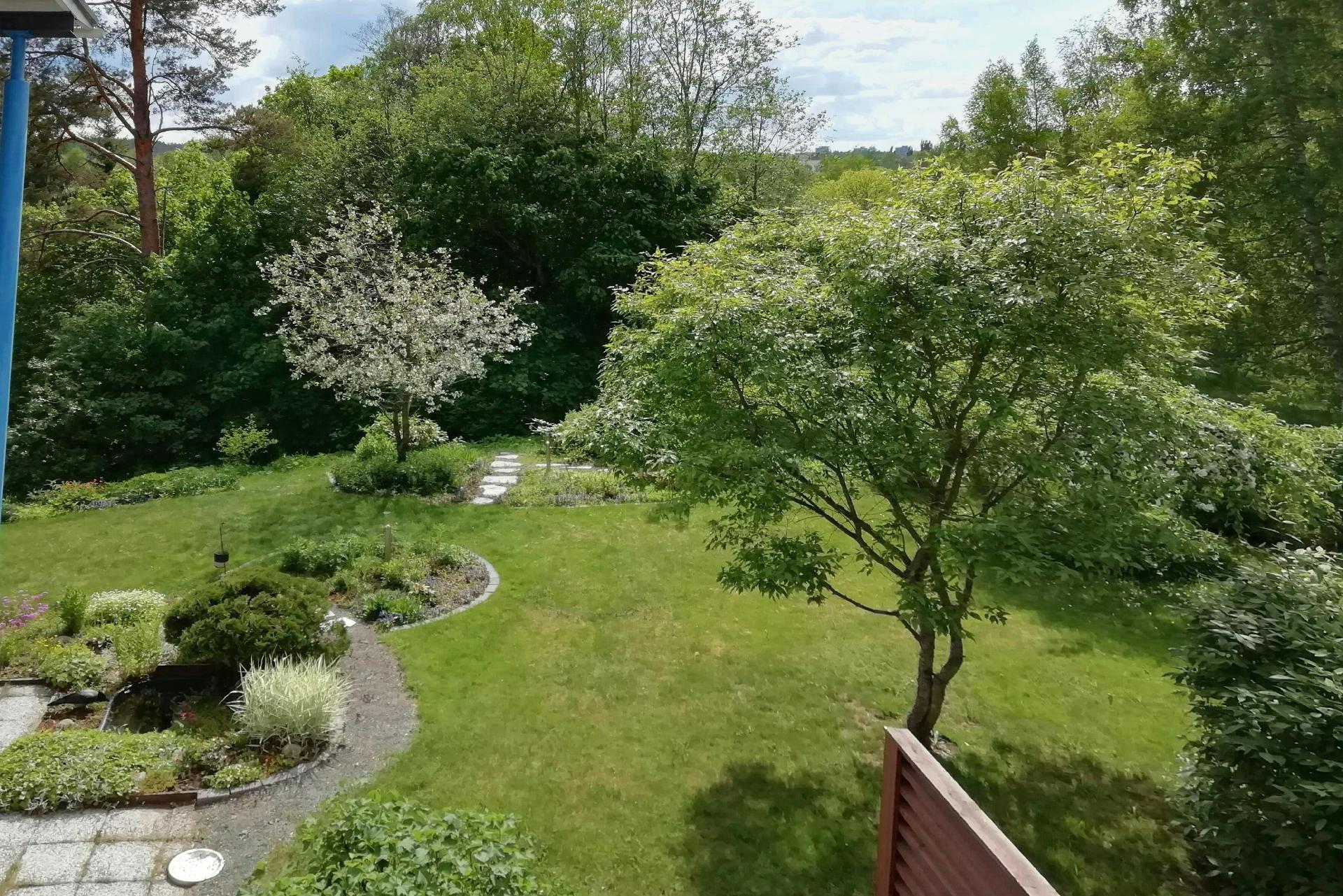 Puutarhaa on hoidettu rakkaudella