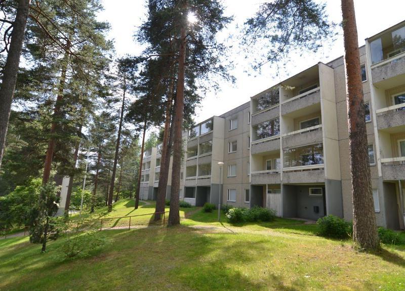 Julkisivu takapihan puolelta