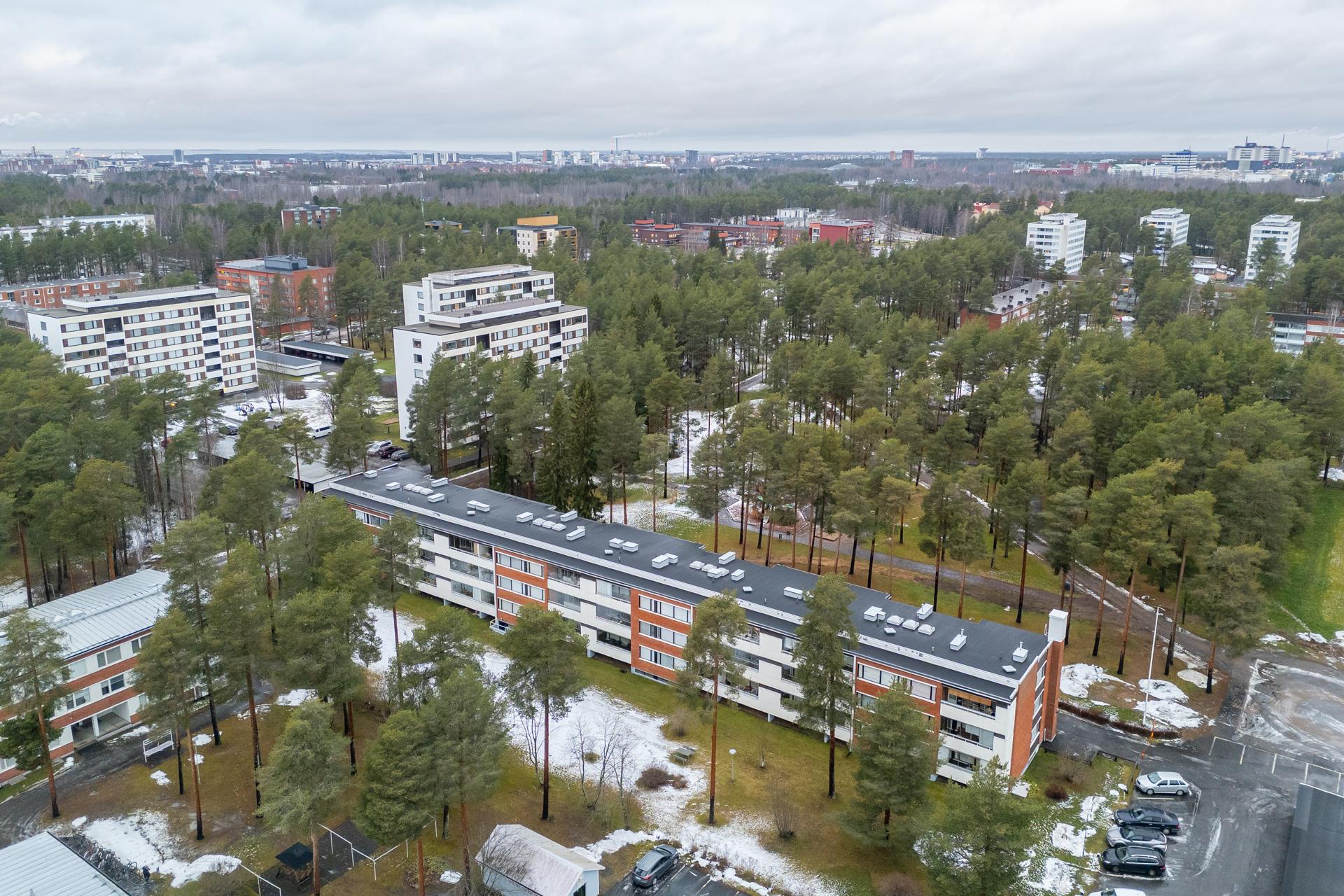 Suohaukantie 3, Kaukovainio, Oulu