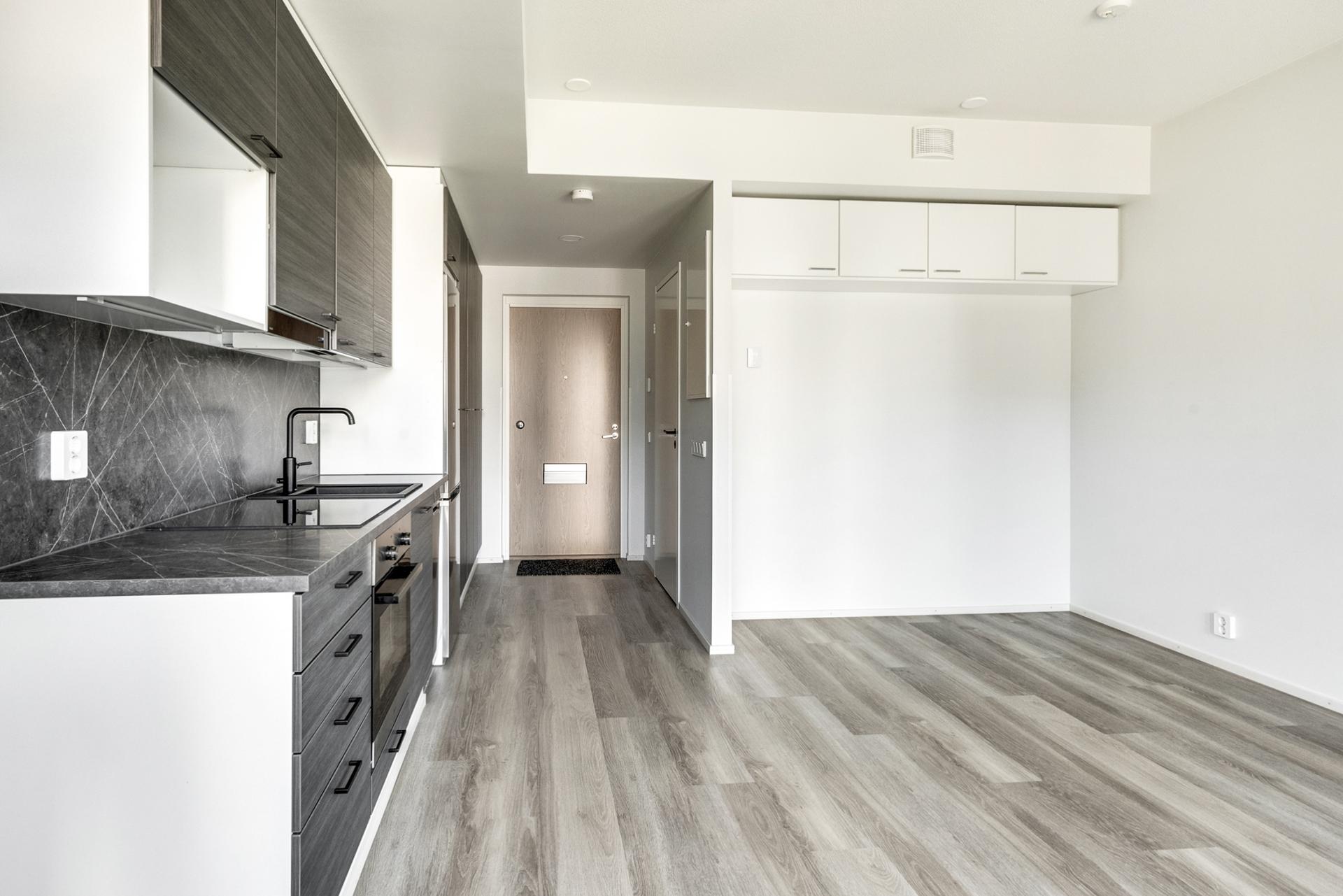 Lyyrapyrstö 1, Hervantajärvi, Tampere