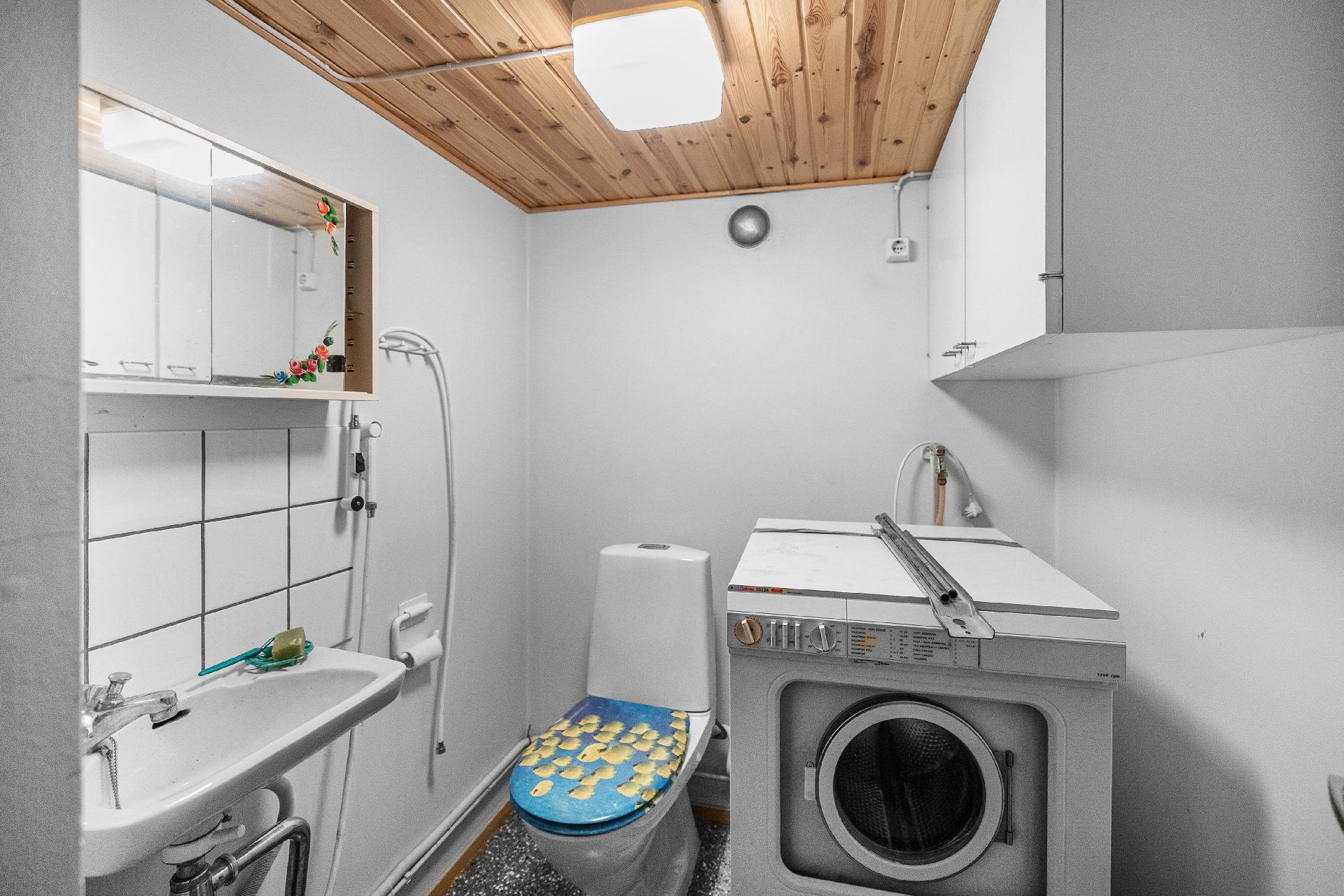 Kellarikerroksen erillinen wc