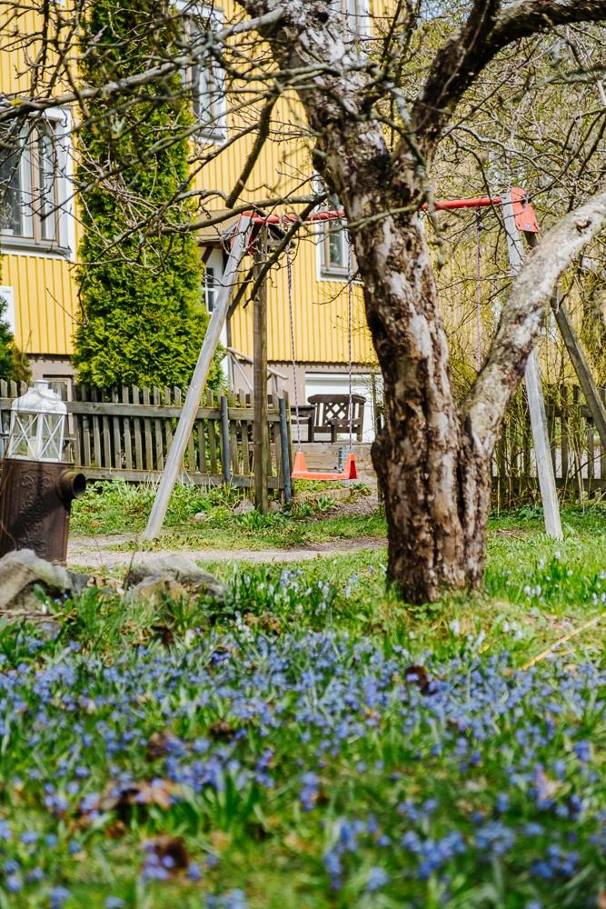 Kesäkuvia omistajan kotialbumista