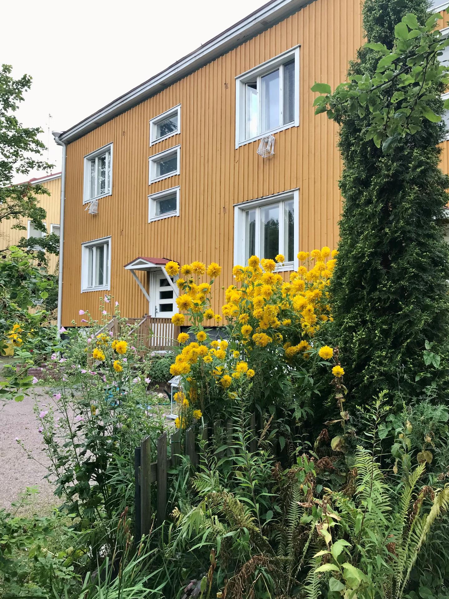 Kesäkuvia omistajan kotialbumista