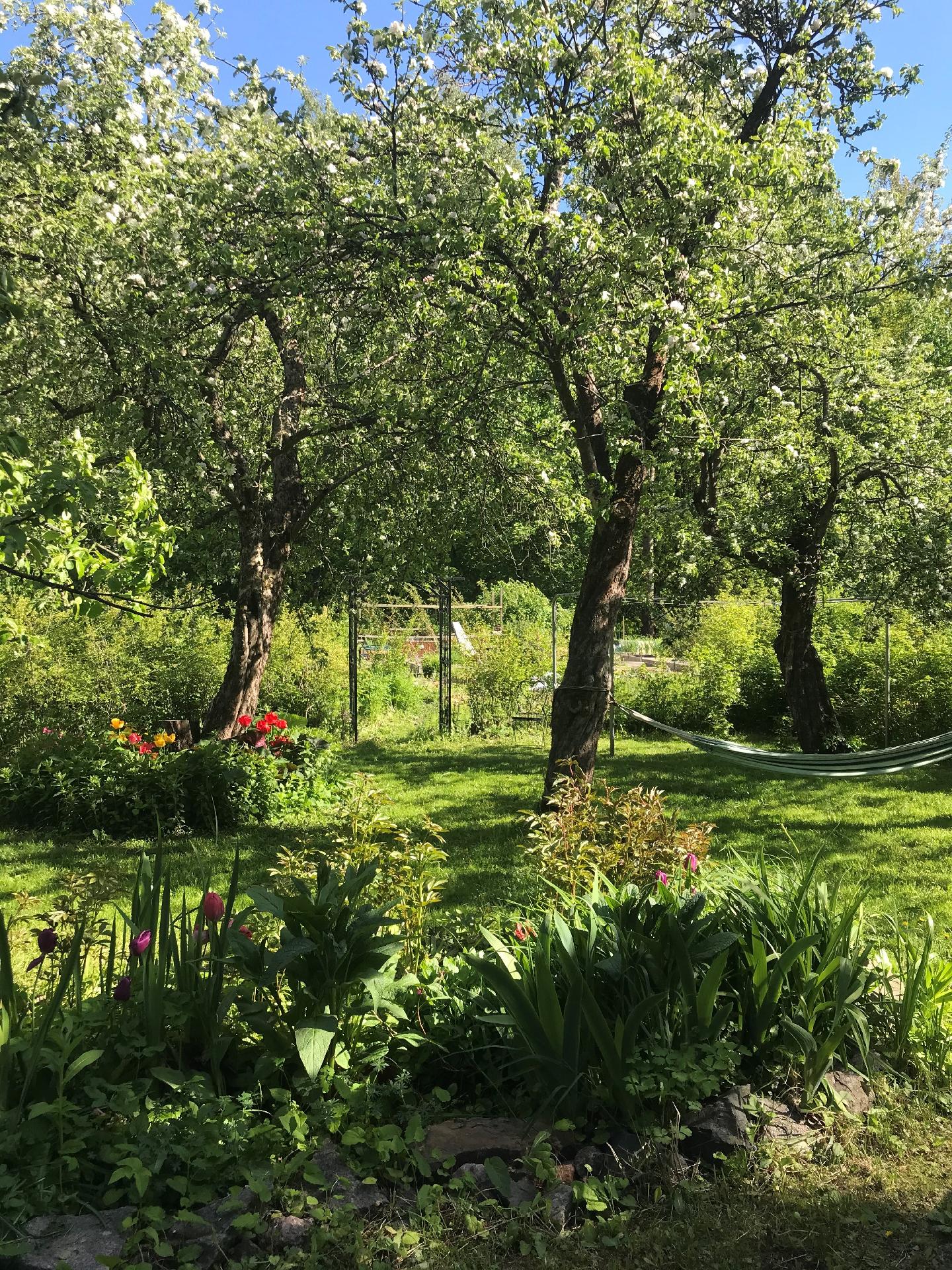 Kesäkuvia omistajan kotialbumista