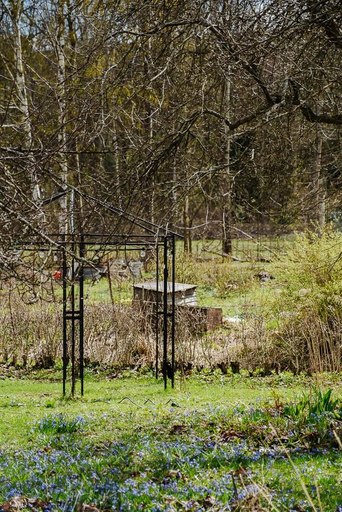 Kesäkuvia omistajan kotialbumista