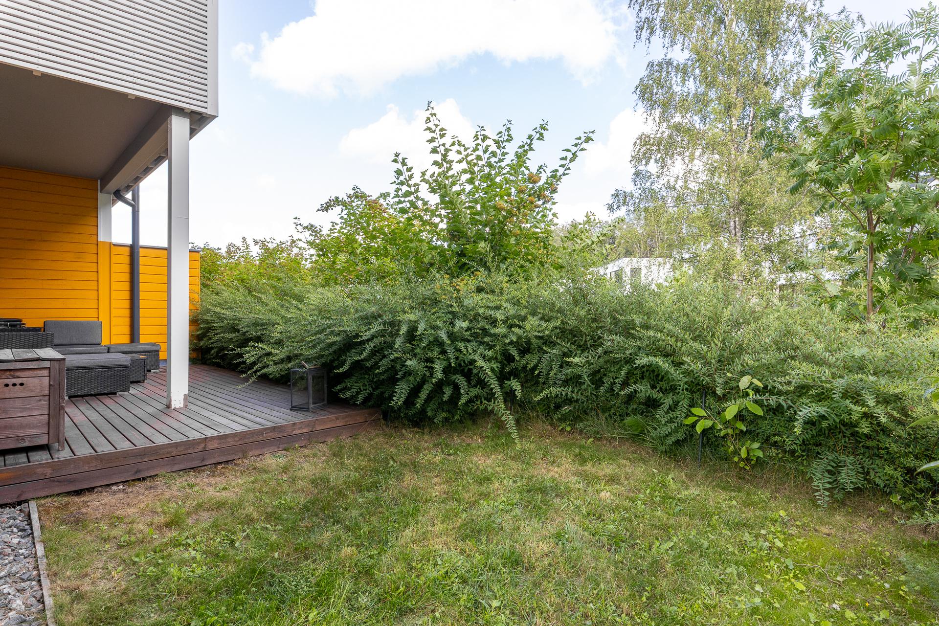 Tältä näyttää kesäinen piha