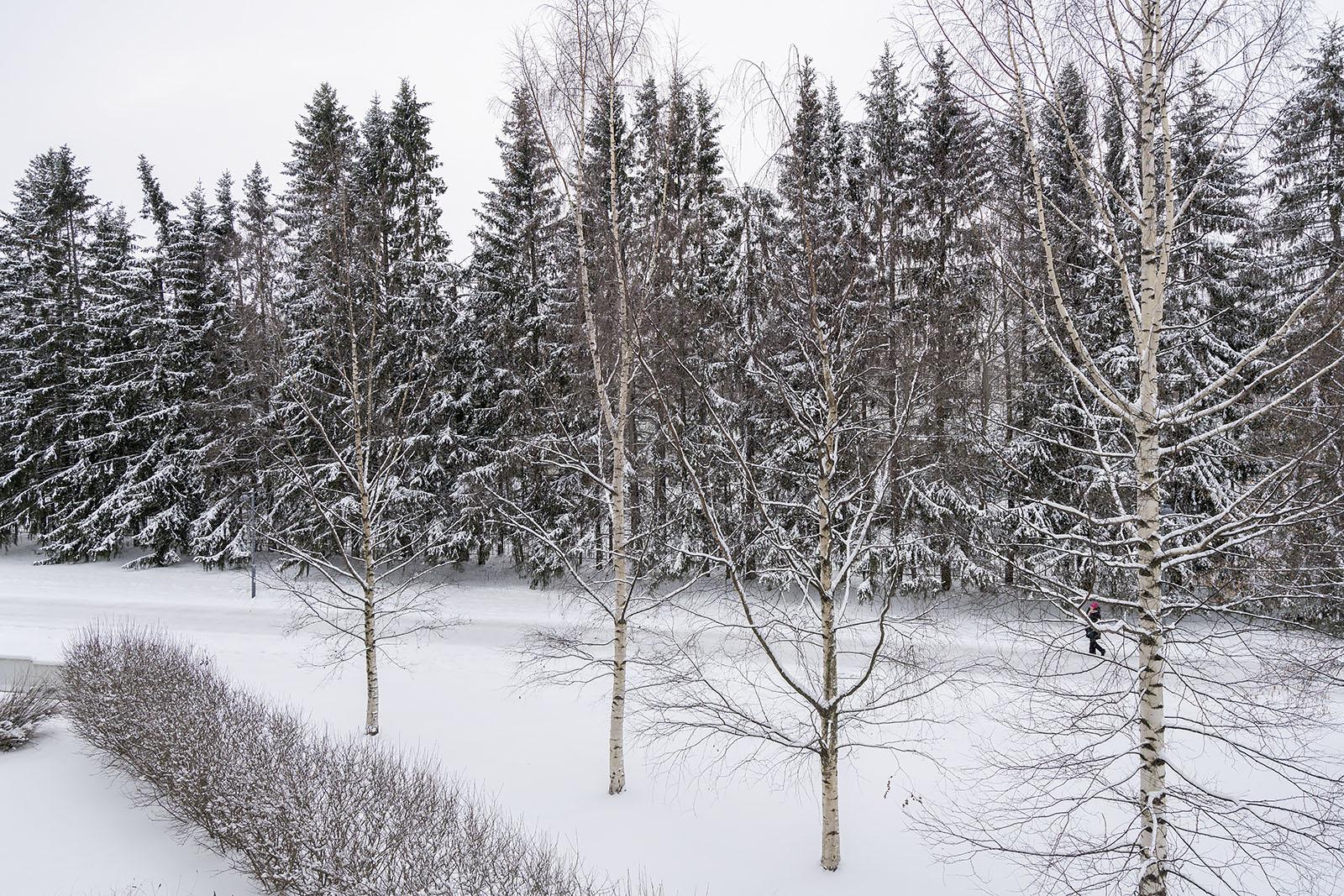 Kurkelantie 10, Värttö, Oulu