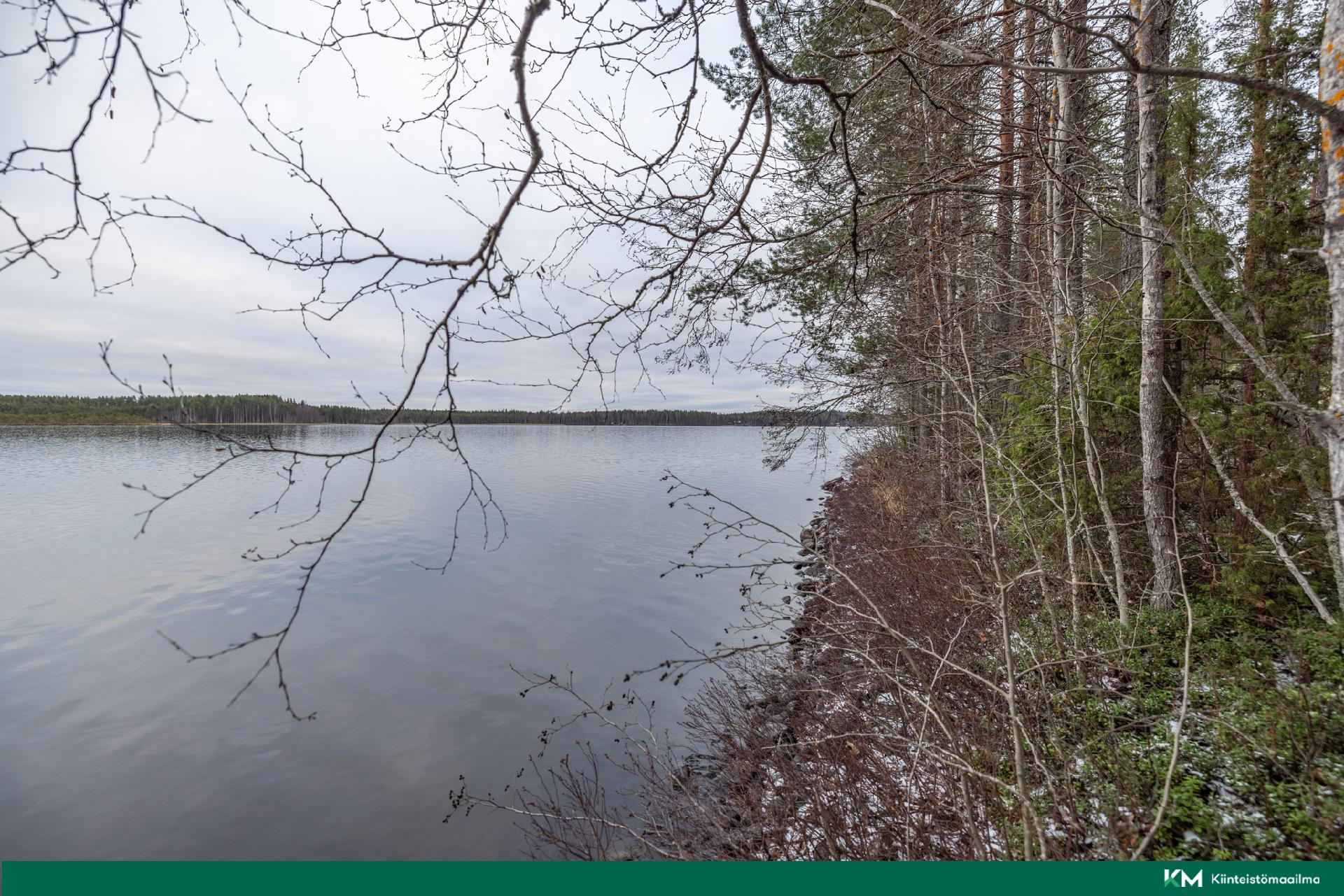 Halmeniementie, Viljakkalansaari - rakennustontti/metsätila, Mikkeli