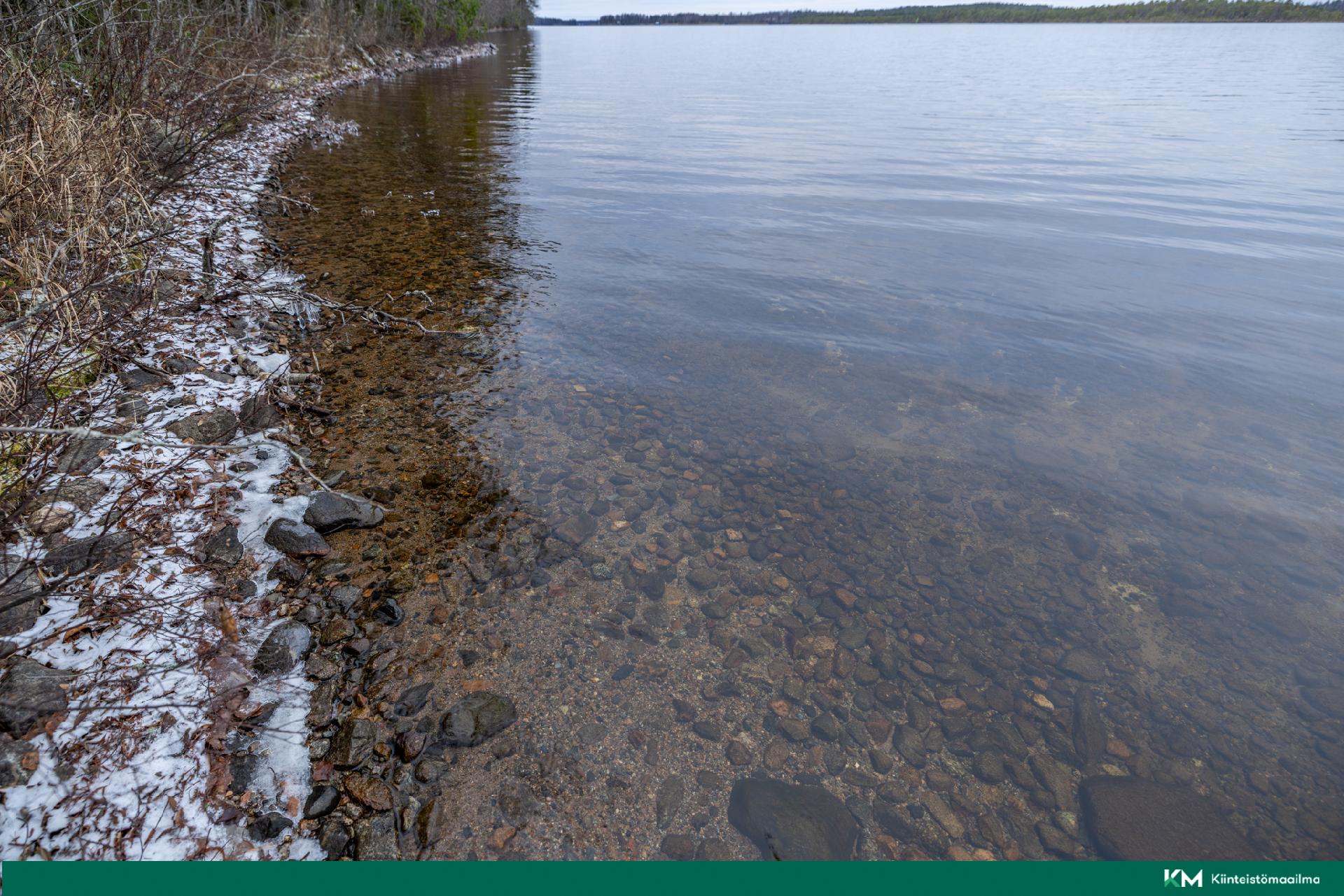 Halmeniementie, Viljakkalansaari - rakennustontti/metsätila, Mikkeli