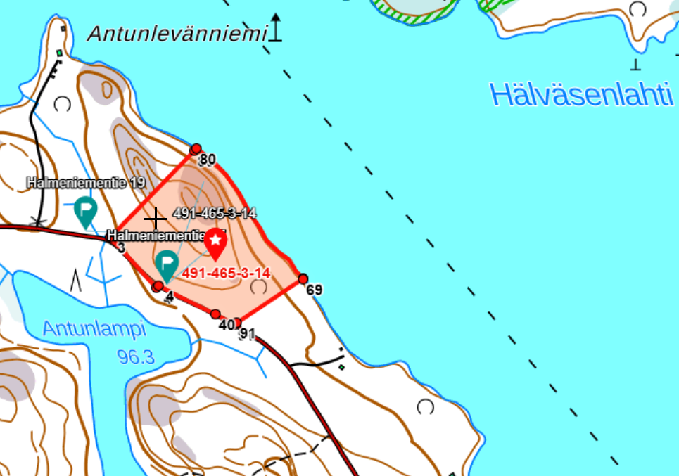Halmeniementie, Viljakkalansaari - rakennustontti/metsätila, Mikkeli