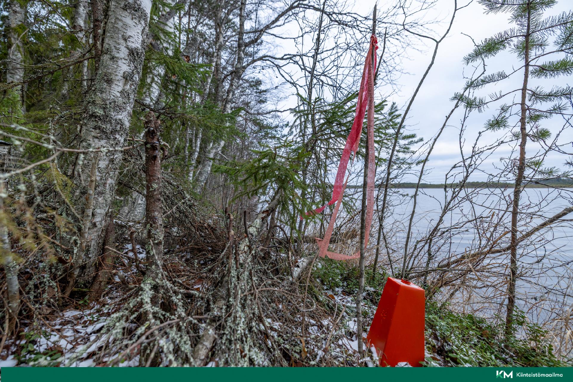 Halmeniementie, Viljakkalansaari - rakennustontti/metsätila, Mikkeli