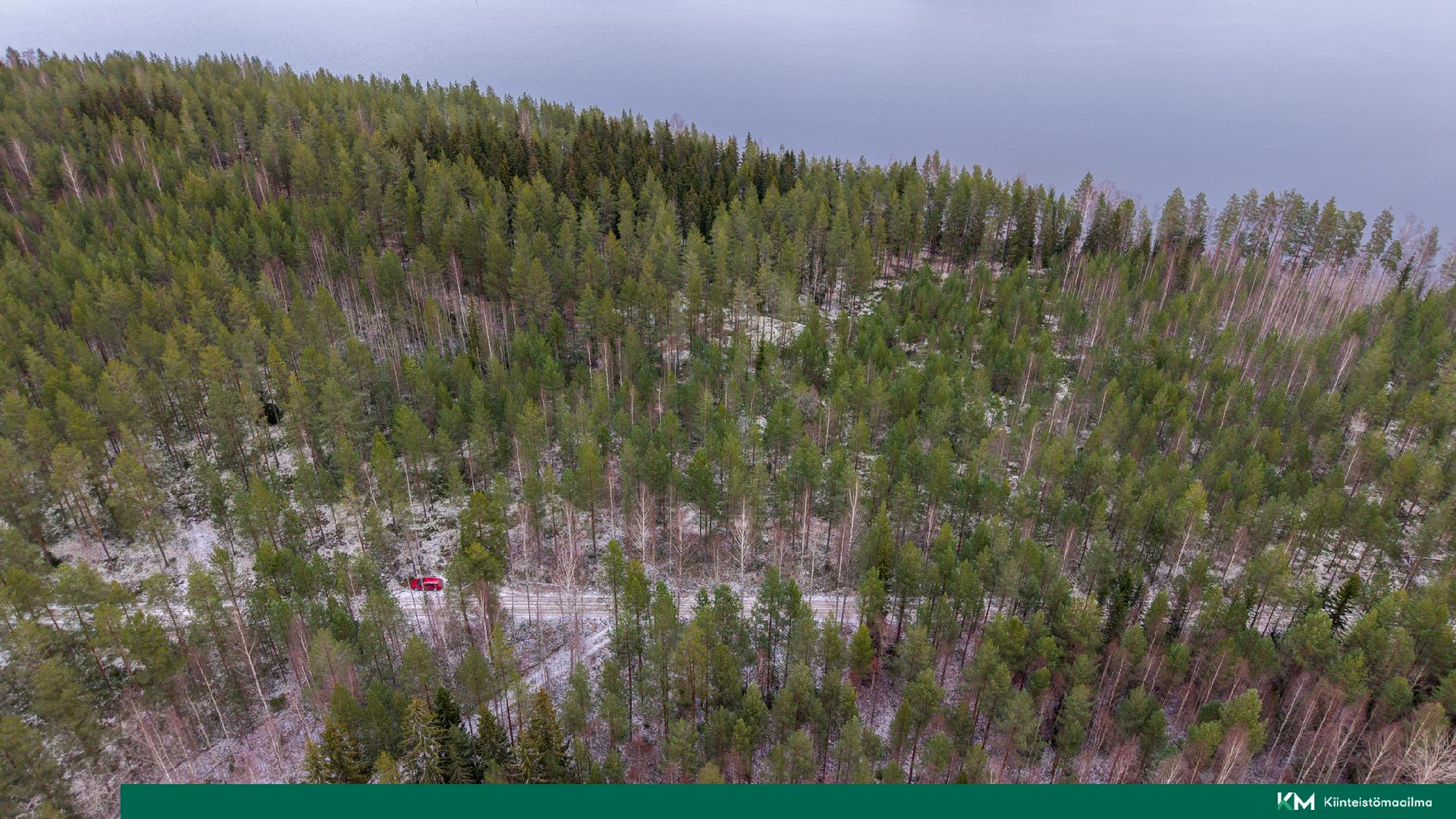 Halmeniementie, Viljakkalansaari - rakennustontti/metsätila, Mikkeli