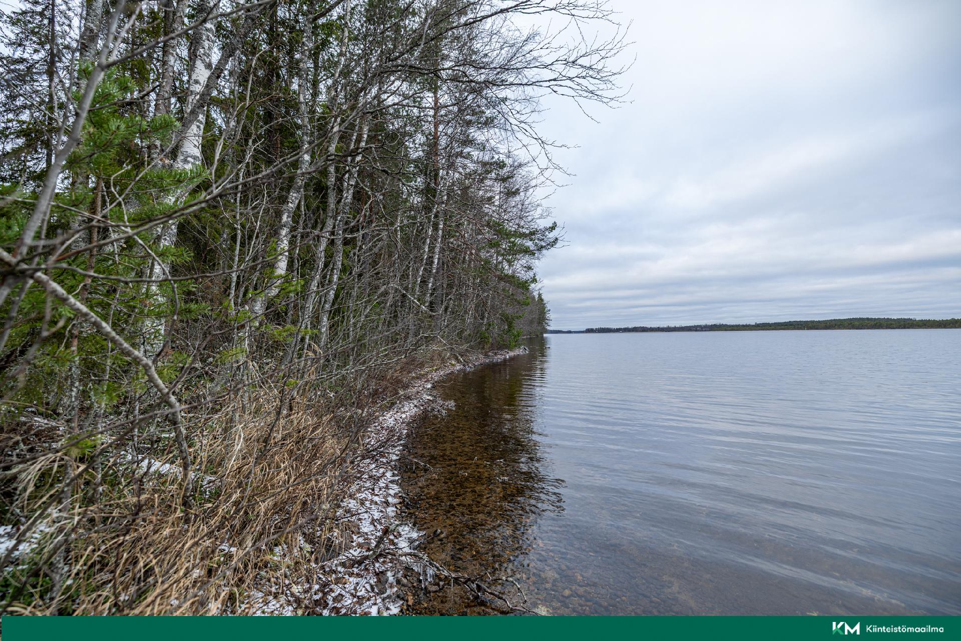 Halmeniementie, Viljakkalansaari - rakennustontti/metsätila, Mikkeli