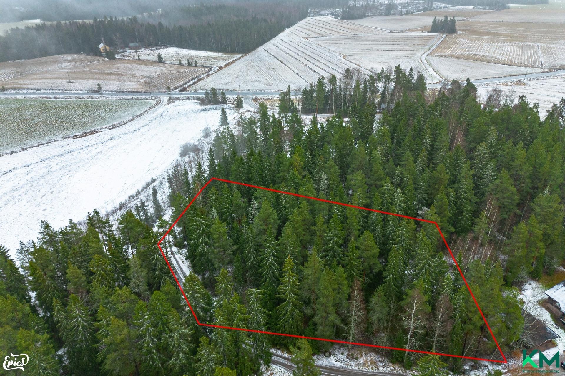 punaisella tontin rajat