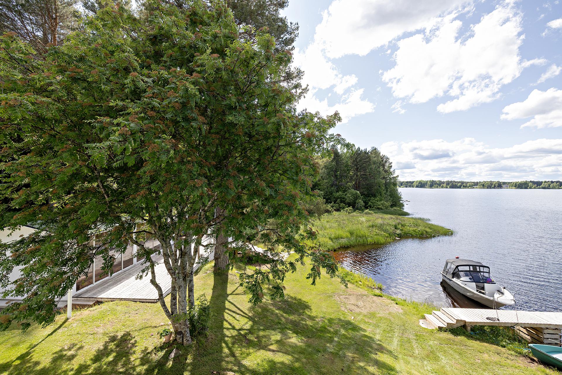 Jylhänniementie 186, Kankari, Vaala