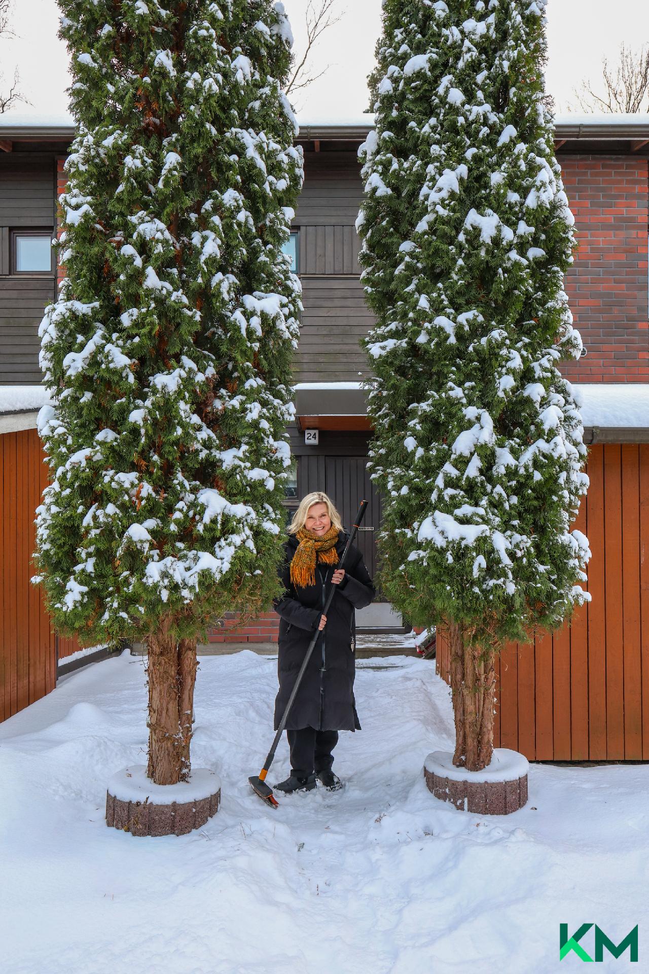 Visakoivunkuja 17, Pohjois-Tapiola, Espoo