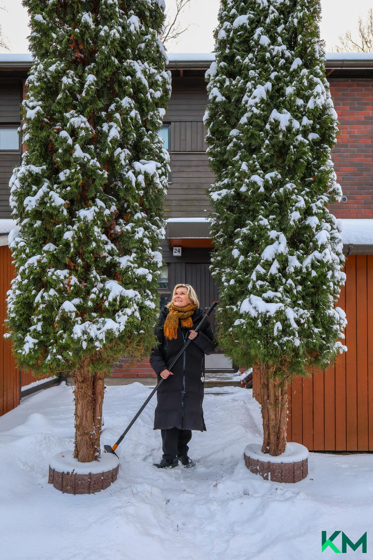 Visakoivunkuja 17, Pohjois-Tapiola, Espoo