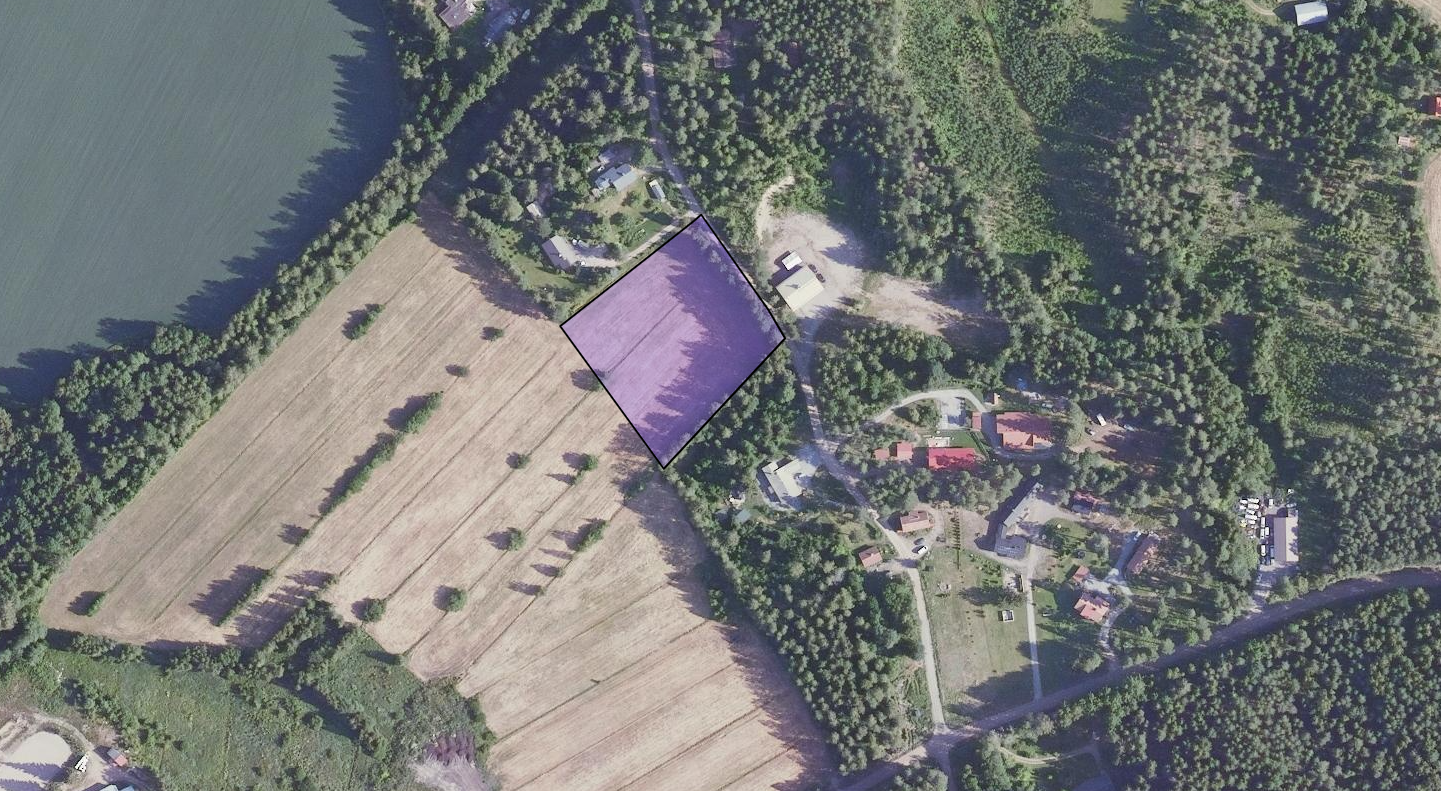 Peltopalsta ilmakuvana