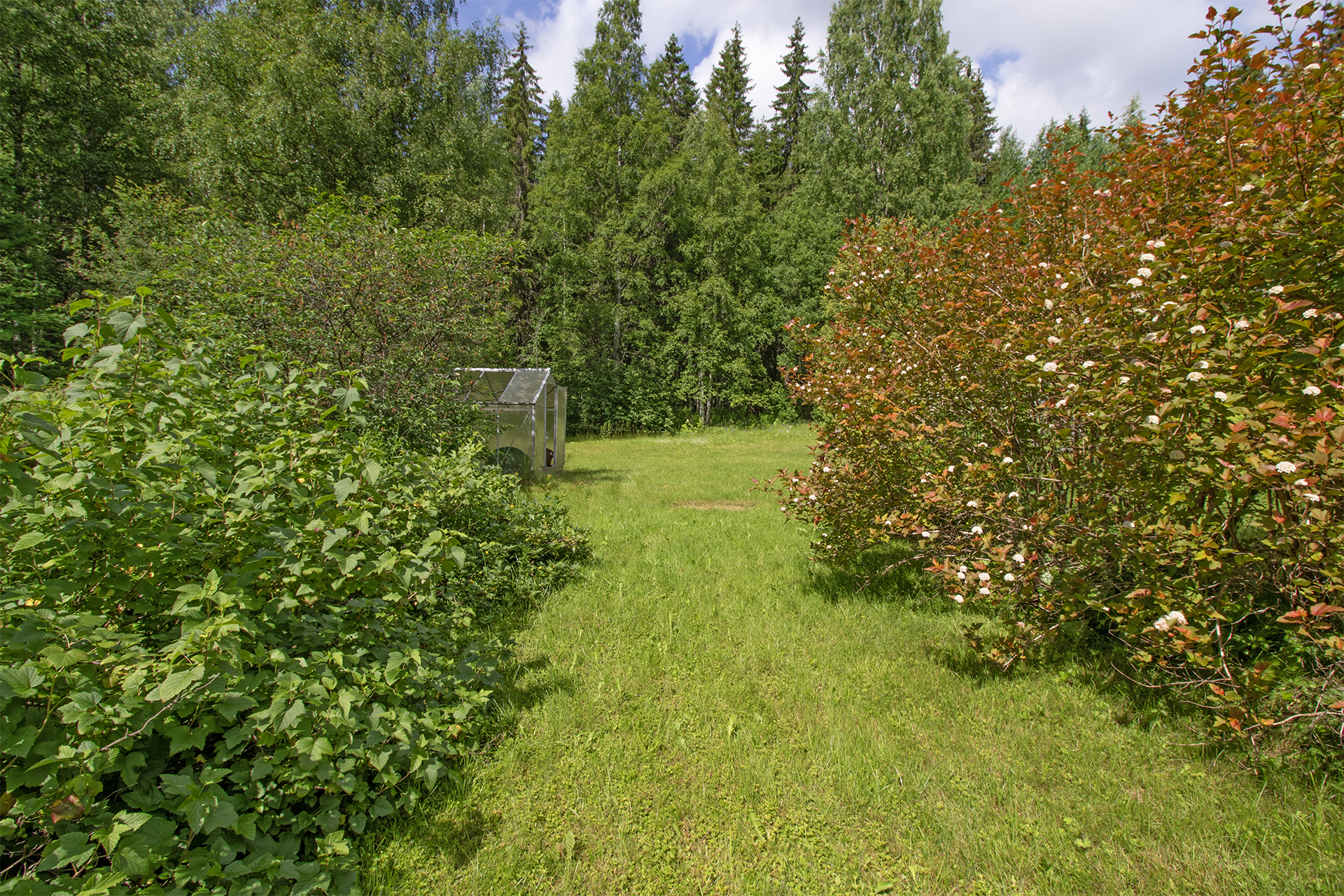 Laasankannantie 26, Jännevirta, Kuopio