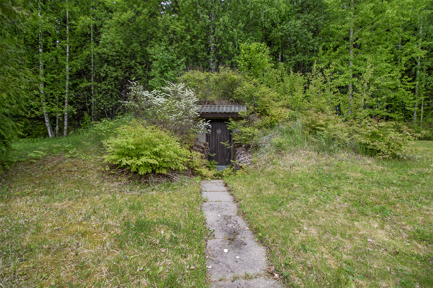 Maakellari