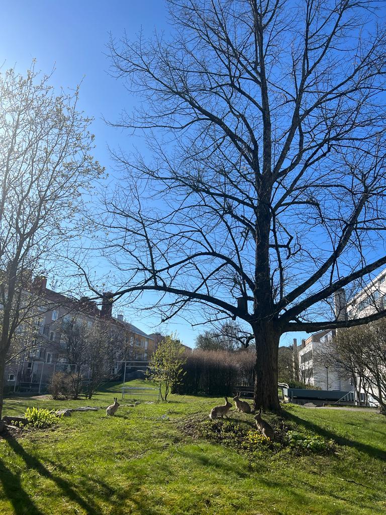 Hämeentie 77, Hermanni, Helsinki