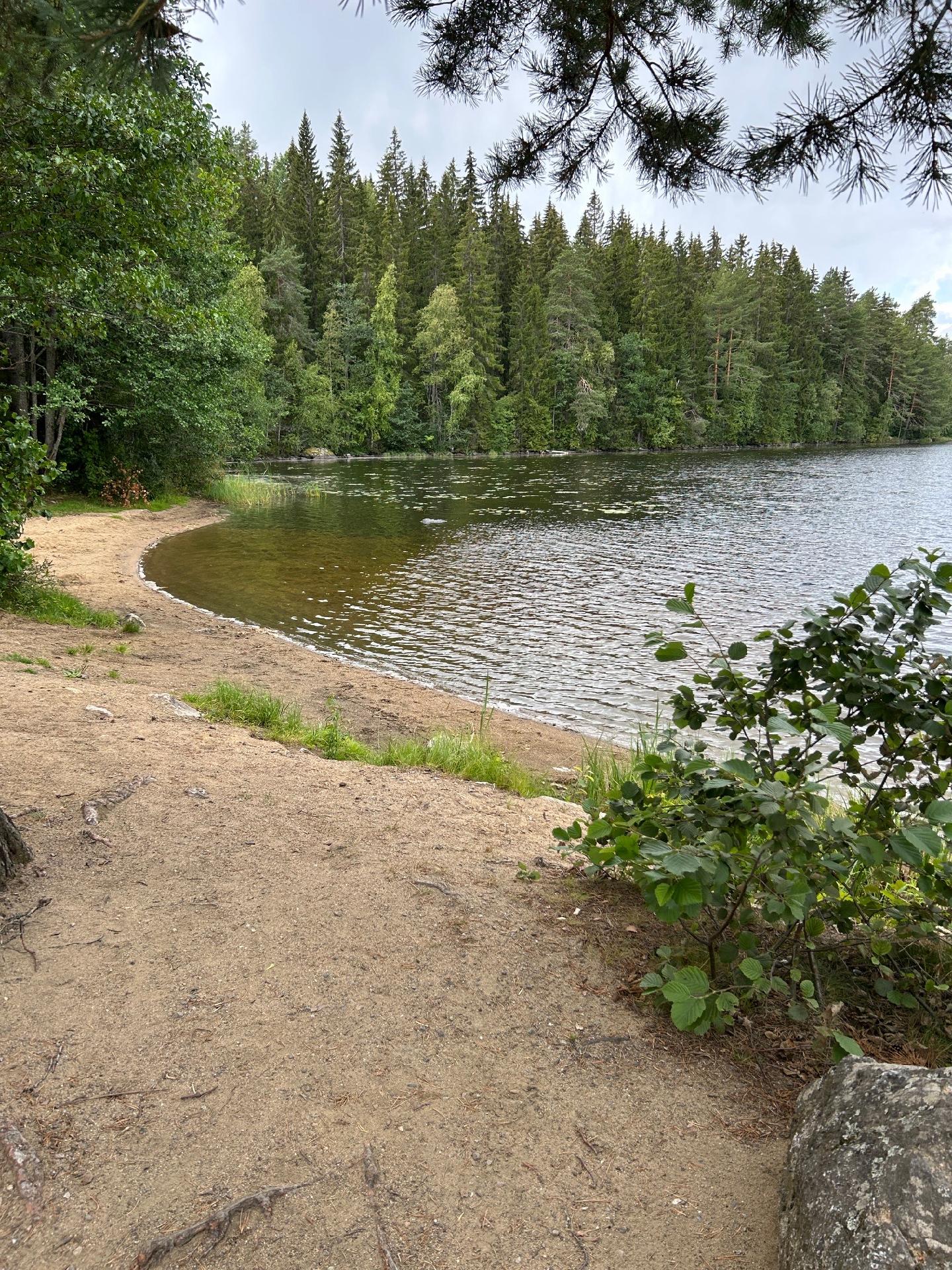 Suojalammen uimaranta lähistöllä